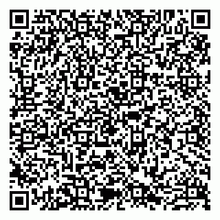 vCard 79807263138