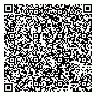 vCard 79807263173