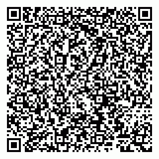 vCard 79807263199