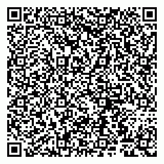 vCard 79807263201