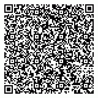 vCard 79807263203
