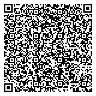 vCard 79807263204