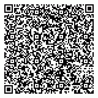 vCard 79807263208