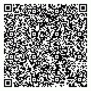 vCard 79807263210