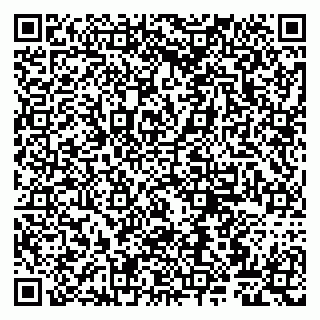 vCard 79807263211