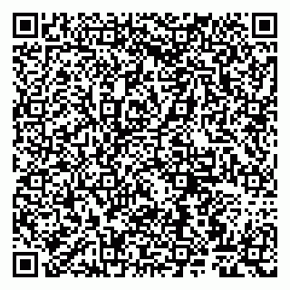 vCard 79807263220