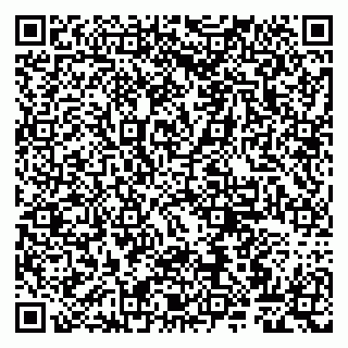vCard 79807263221