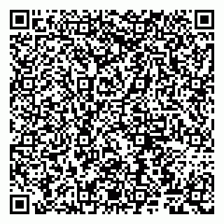 vCard 79807263248