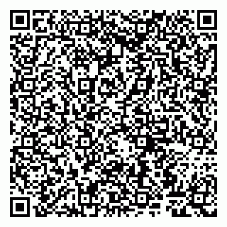 vCard 79807263249