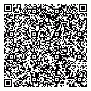 vCard 79807263252