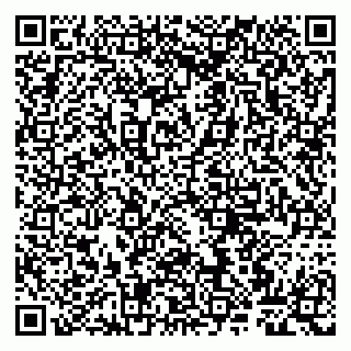 vCard 79807263295