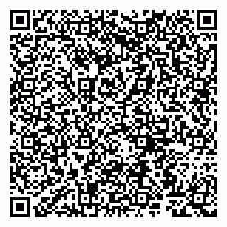 vCard 79807263300