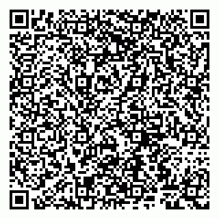 vCard 79807263310