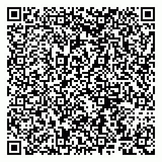 vCard 79807263313