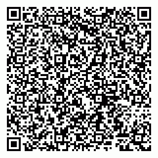 vCard 79807263317