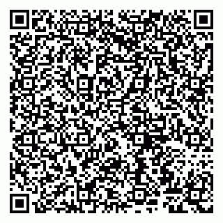 vCard 79807263331