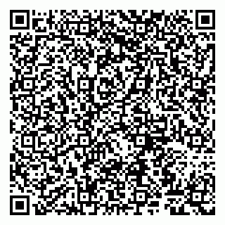 vCard 79807263337