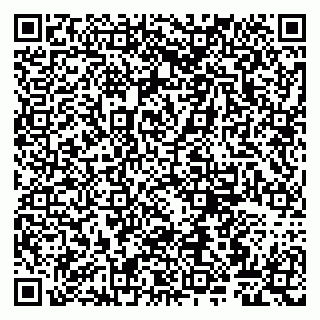 vCard 79807263360