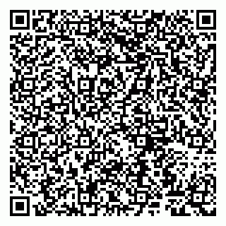 vCard 79807263373