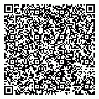 vCard 79807263379