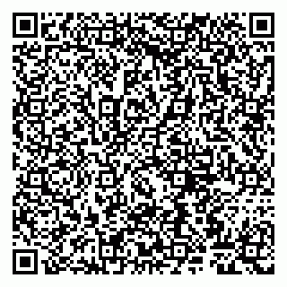 vCard 79807263380
