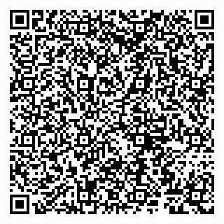 vCard 79807263381