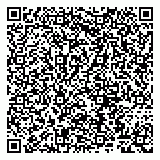 vCard 79807263382