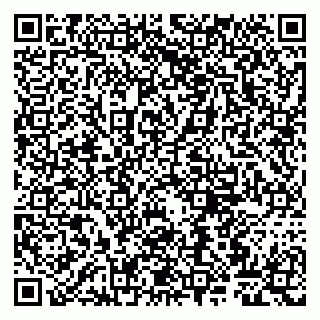 vCard 79807263385