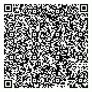 vCard 79807263387