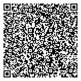 vCard 79807263389