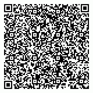 vCard 79807263401