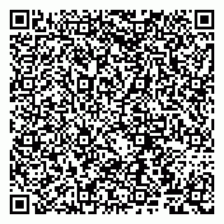 vCard 79807263403