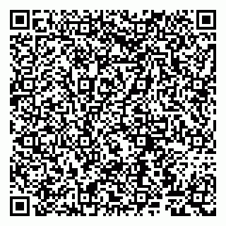 vCard 79807263409