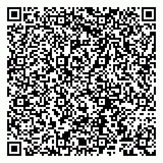 vCard 79807263488