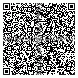 vCard 79807263497