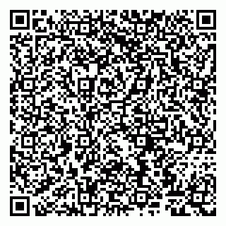 vCard 79807263499