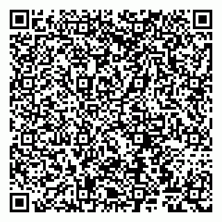 vCard 79807263508