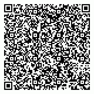 vCard 79807263537