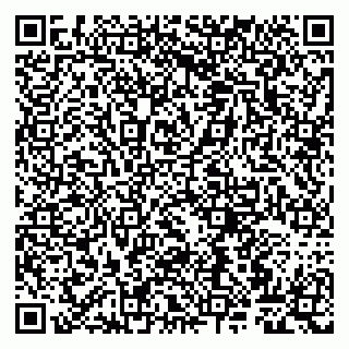 vCard 79807263539
