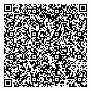 vCard 79807263549