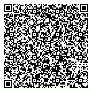 vCard 79807264031
