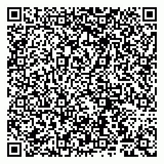 vCard 79807264035