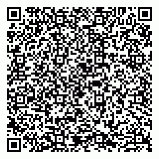 vCard 79807264285