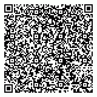 vCard 79807264383
