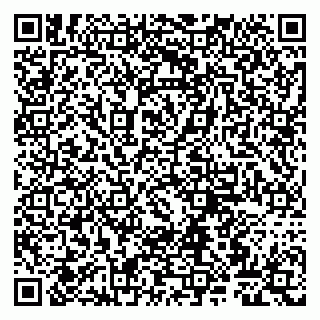 vCard 79807265209