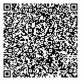 vCard 79807265217