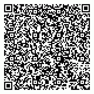 vCard 79807265279