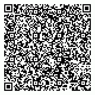 vCard 79807265304