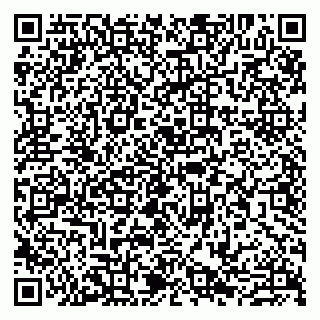 vCard 79807265312