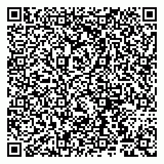 vCard 79807265313